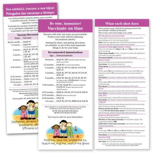 Be Wise Flier pack