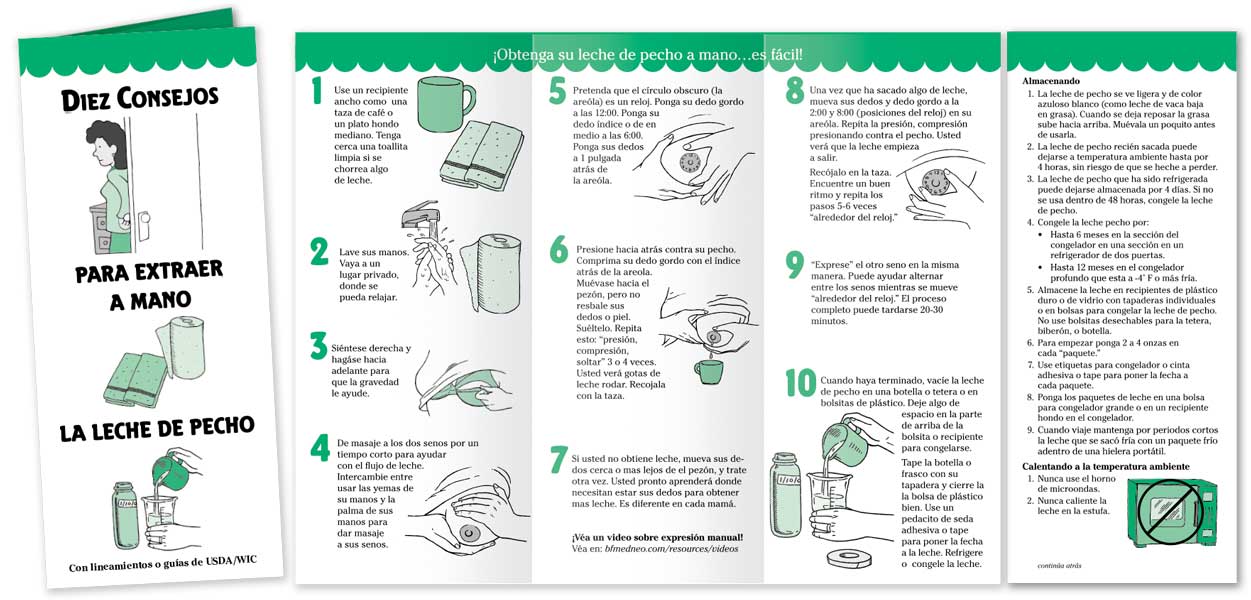Ten Tips on Hand Expressing Breastmilk with USDA storage guidelines - Image 5
