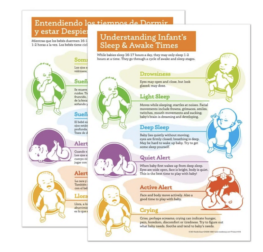 Understanding Infant's Sleep and Awake Times Flier in English and Spanish