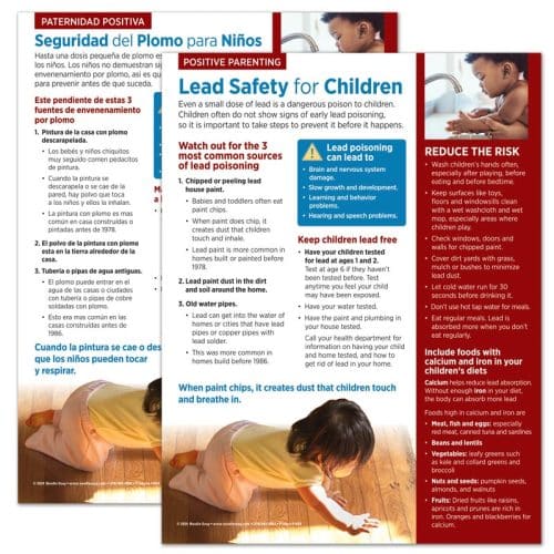 Lead Safety for Children Tear Pad
