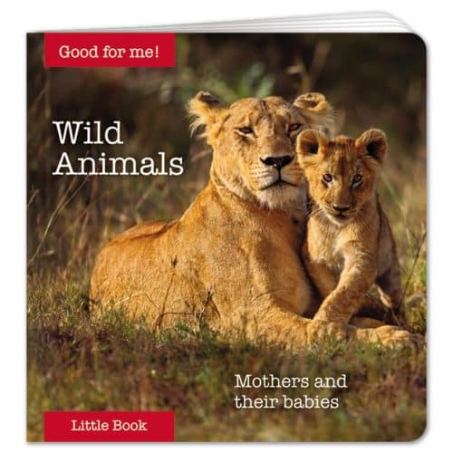 Wild Animals Little Book