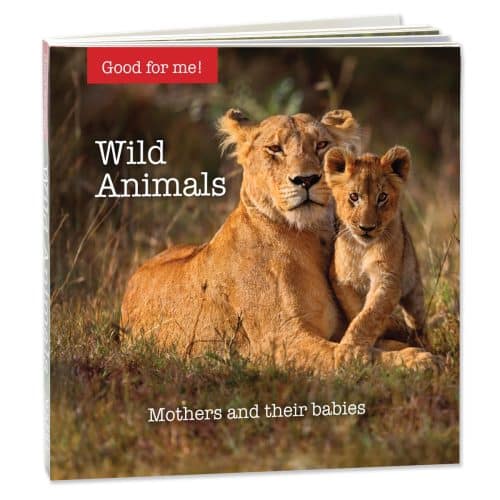 Wild Animals board book