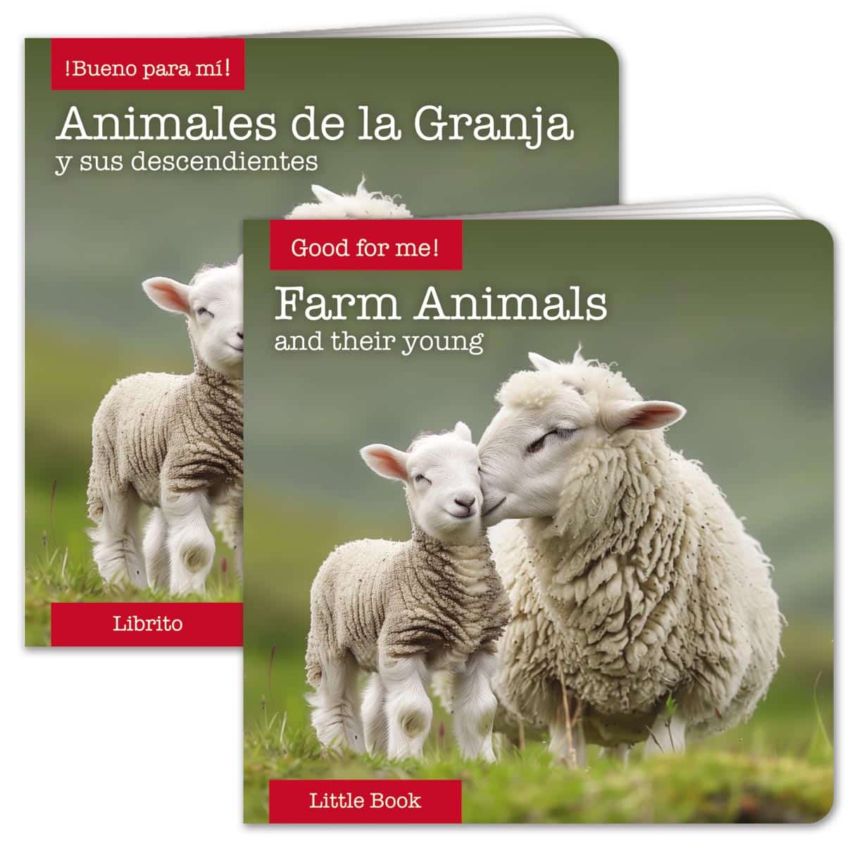 Farm Animals Little Book - English or Spanish