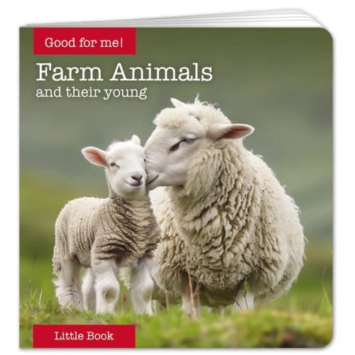 Farm Animals Little Book - English