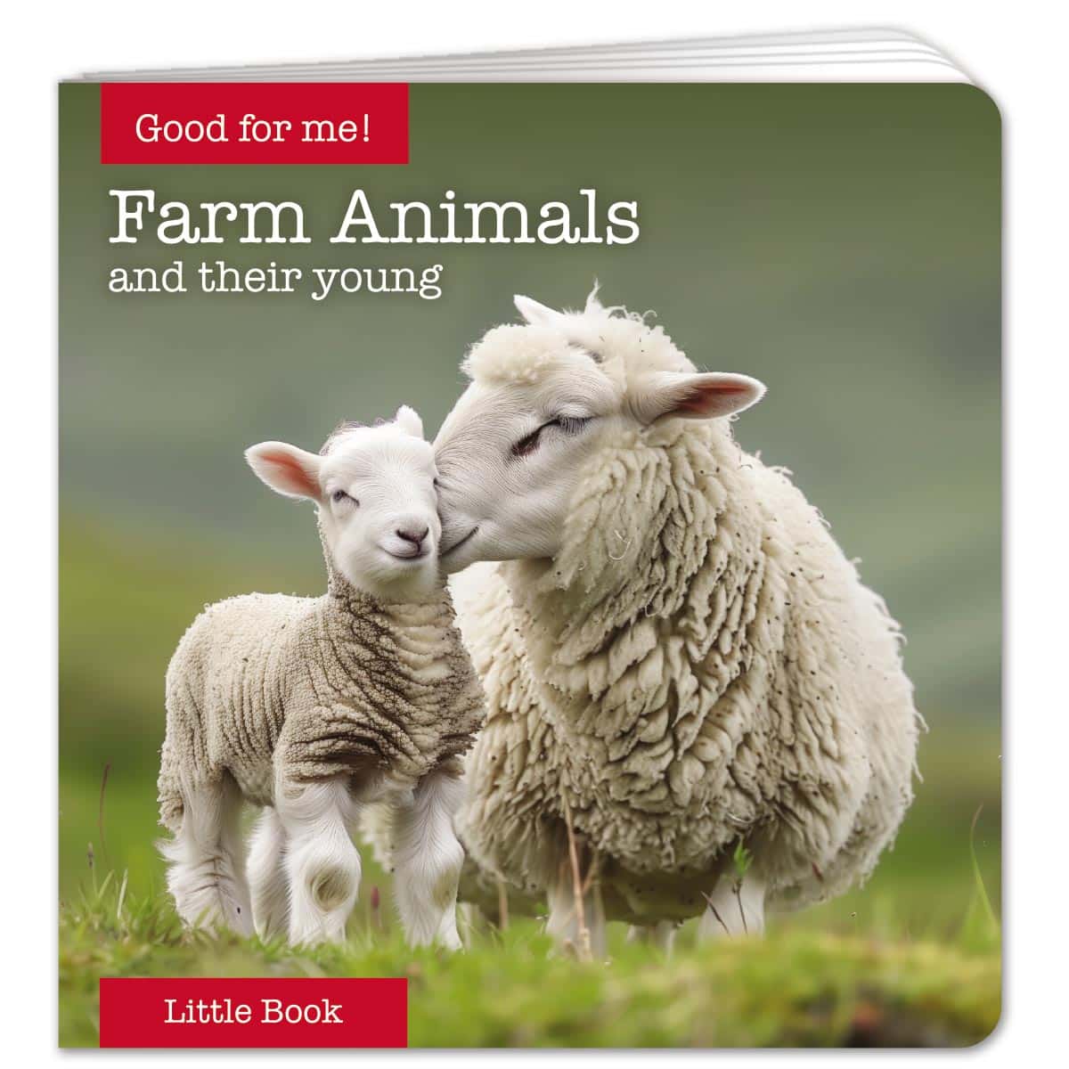 Farm Animals Little Book - English
