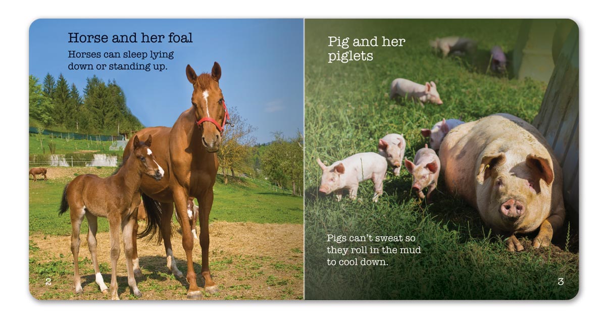 Farm Animals Little Book - English
