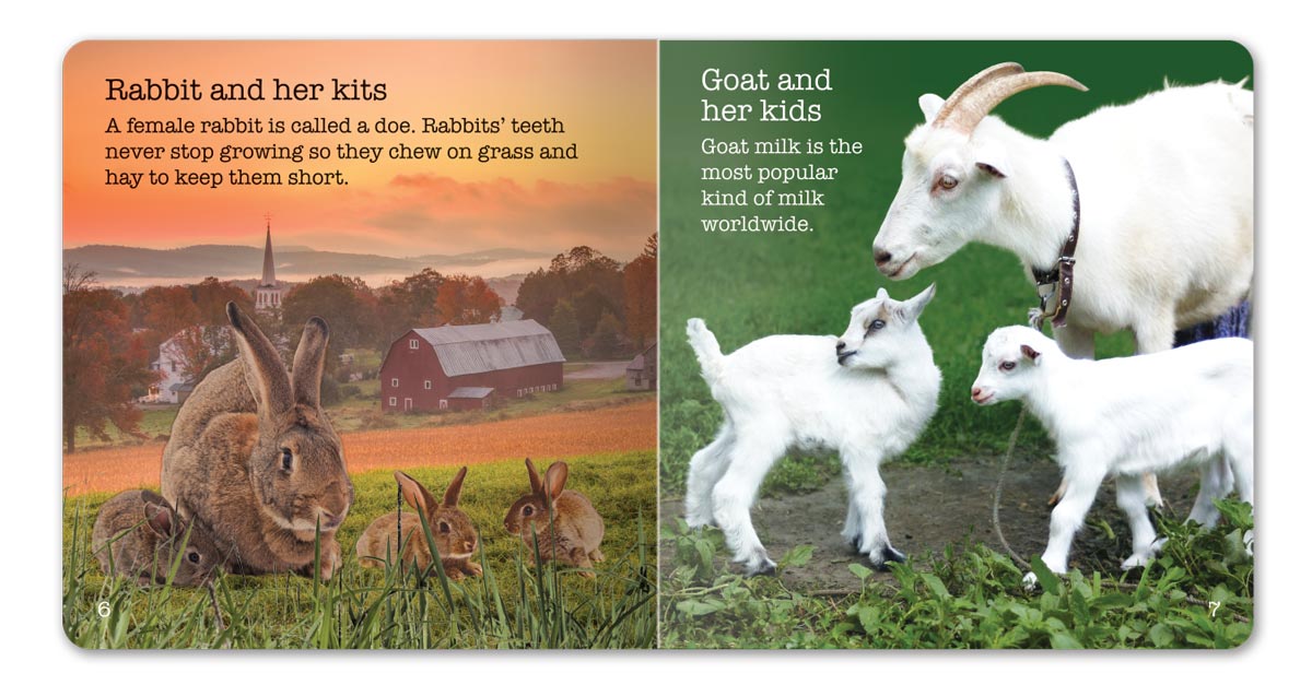 Farm Animals Little Book - English