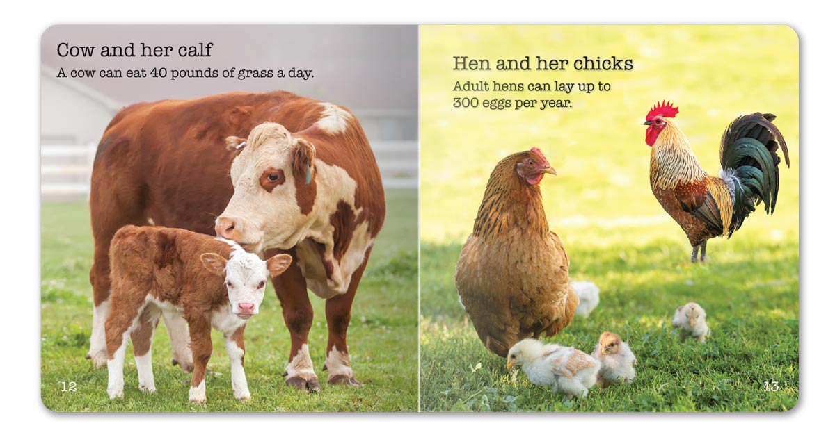 Farm Animals Little Book - English