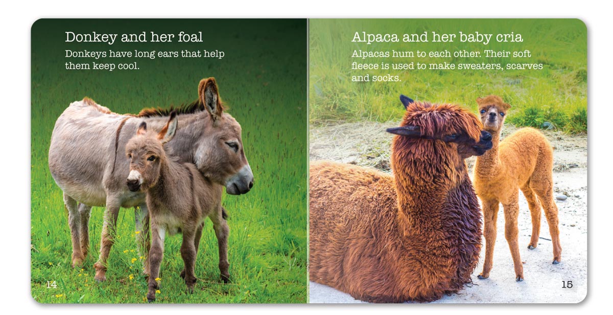Farm Animals Little Book - English