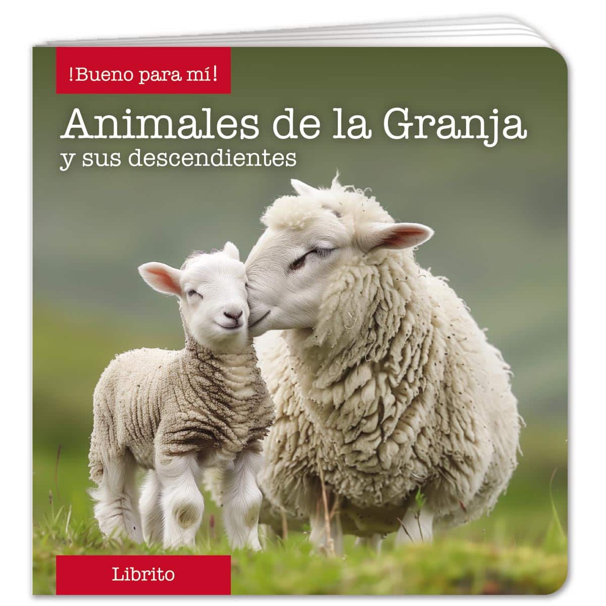 Farm Animals Little Book - Spanish