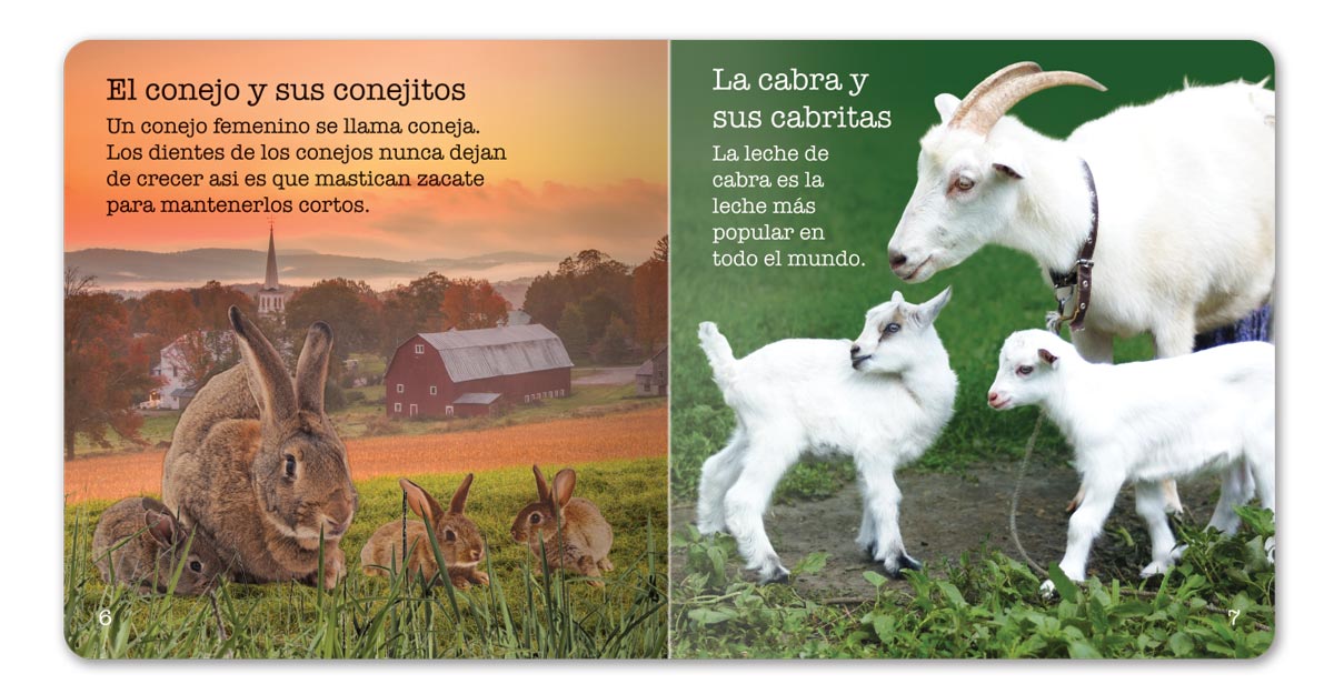Farm Animals Little Book - Spanish