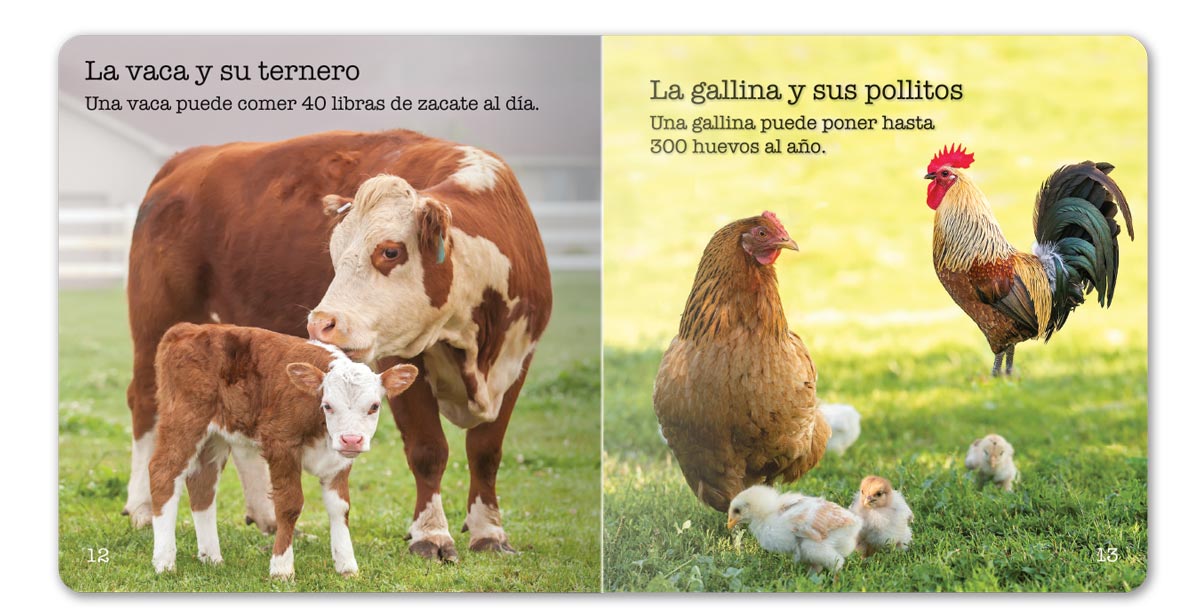 Farm Animals Little Book - Spanish