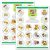 MyPlate Photo Food Pads – Breakfast
