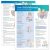 Your Child’s Milestones Step by Step 16-18 months Tear Pad