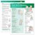 Your Child’s Milestones Step by Step 19-21 months Tear Pad
