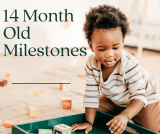 14 Month Old Milestones