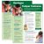 Temper Tantrums Parenting Education Tear Pad – Bilingual (English/Spanish)