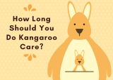 How Long Should You Do Kangaroo Care?
