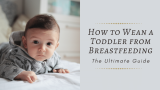 How to Wean a Toddler from Breastfeeding: The Definitive Guide