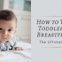 15 Tips for Breastfeeding Working Moms