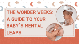 The Wonder Weeks: A Guide to Your Baby’s Mental Leaps