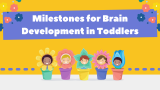Milestones for Brain Development in Toddlers