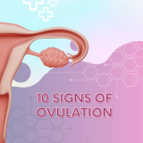 10 Signs of Ovulation